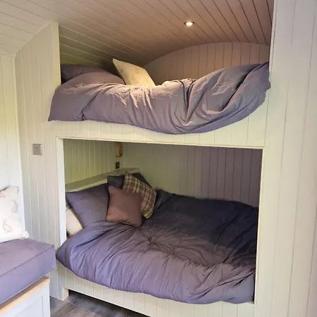 Bridge Glamping - Shepherd's Hut Campsite *