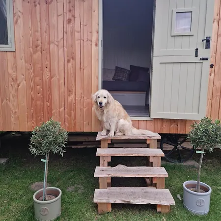 Bridge Glamping - Shepherd's Hut Campsite *