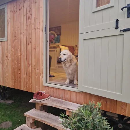 Bridge Glamping - Shepherd's Hut * Aldwark (North Yorkshire)