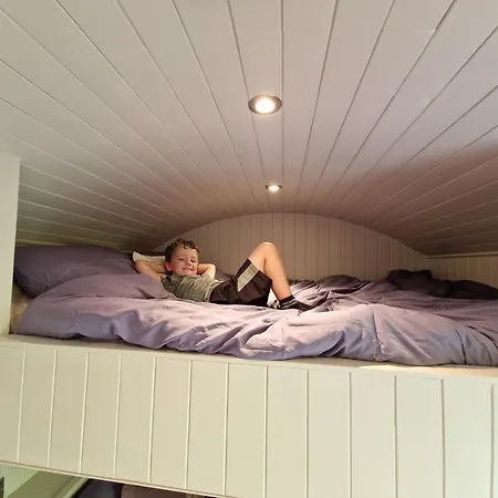Bridge Glamping - Shepherd's Hut *